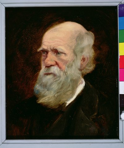 Porträt von Charles Robert Darwin (1809-82), englischer Naturforscher von English School